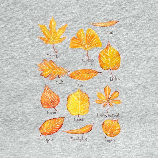 Yellow Autumn leaves collection watercolor by colorandcolor